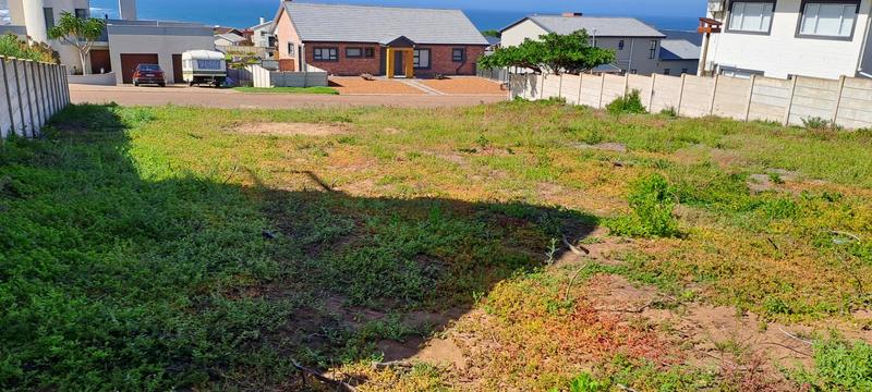 0 Bedroom Property for Sale in Jongensfontein Western Cape
